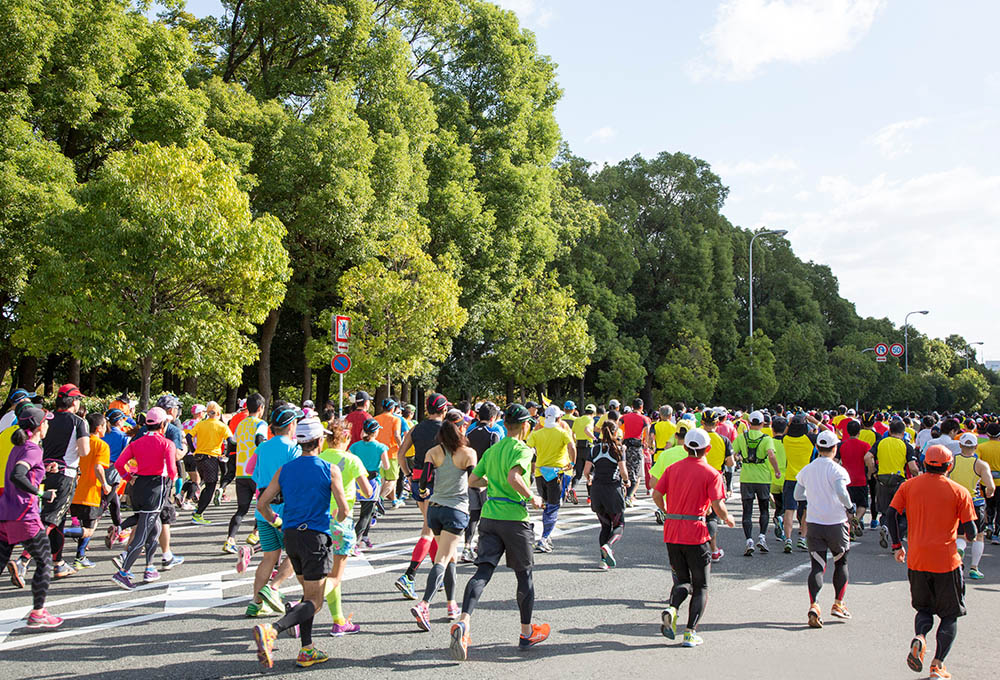 主なイベント画像