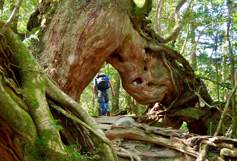 主な観光地画像